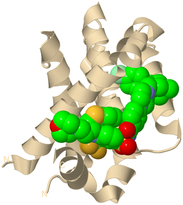 Image Biological Unit 7