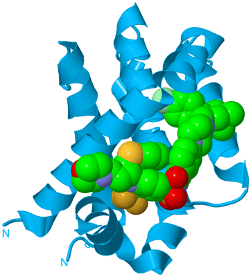 Image Biological Unit 8