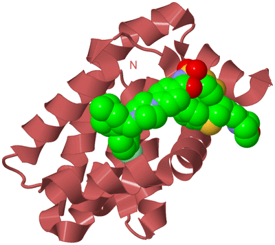 Image Biological Unit 9