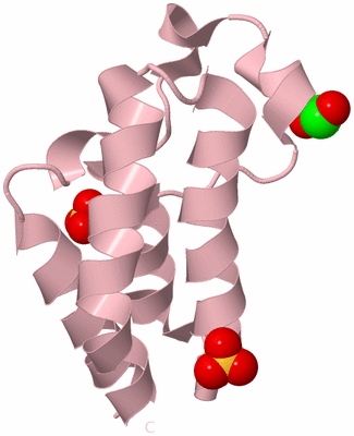 Image Biological Unit 3