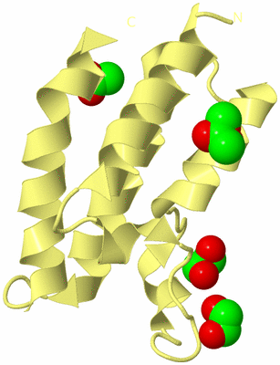 Image Biological Unit 4