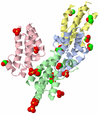 Image Biological Unit 5