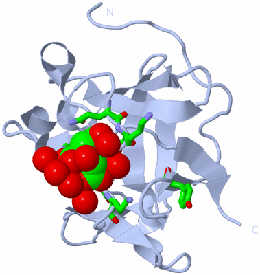 Image Biol. Unit 1 - sites