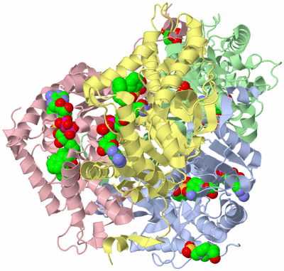 Image Asym./Biol. Unit