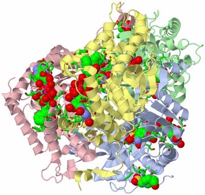 Image Asym./Biol. Unit - sites