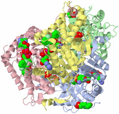 Image Asym./Biol. Unit