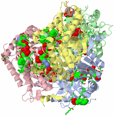 Image Asym./Biol. Unit - sites