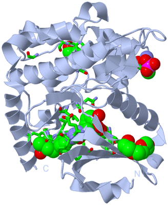 Image Biol. Unit 1 - sites