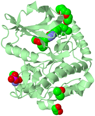 Image Biological Unit 2