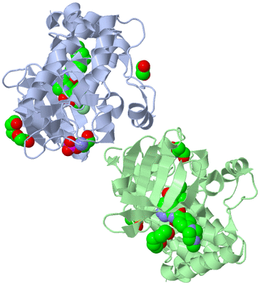 Image Biological Unit 3