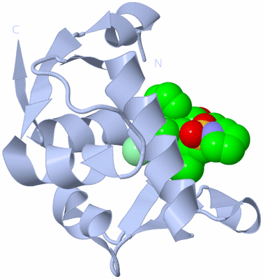 Image Biological Unit 1