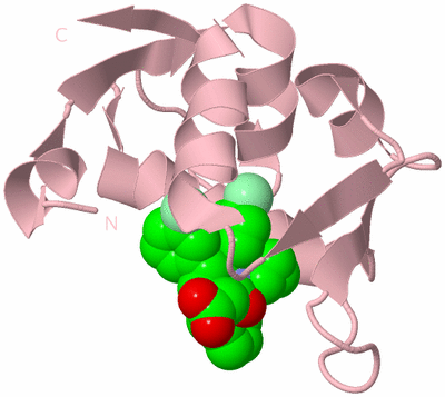 Image Biological Unit 2