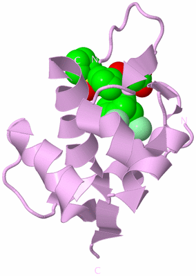 Image Biological Unit 3