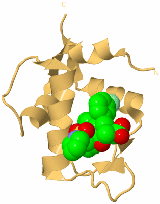 Image Biological Unit 4