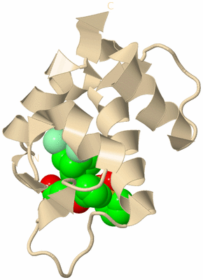 Image Biological Unit 5