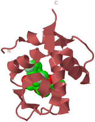 Image Biological Unit 6