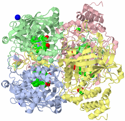 Image Asym./Biol. Unit