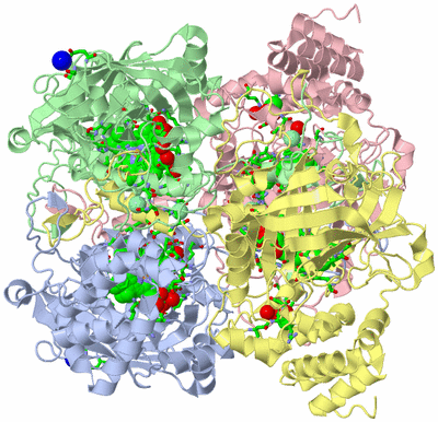 Image Asym./Biol. Unit - sites