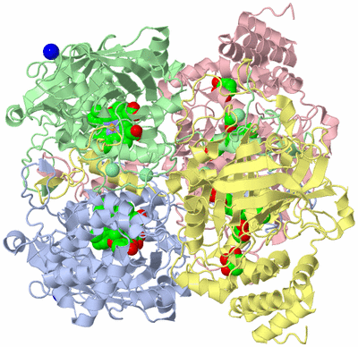 Image Asym./Biol. Unit