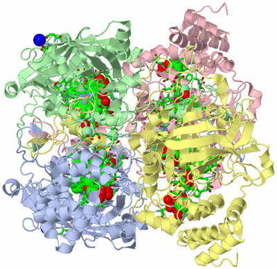 Image Asym./Biol. Unit - sites