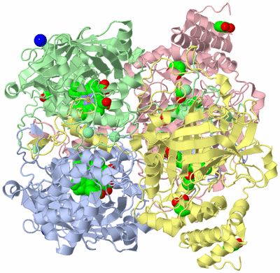 Image Asym./Biol. Unit