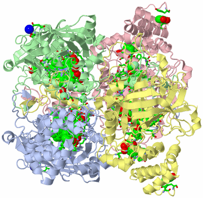 Image Asym./Biol. Unit - sites