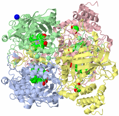 Image Asym./Biol. Unit