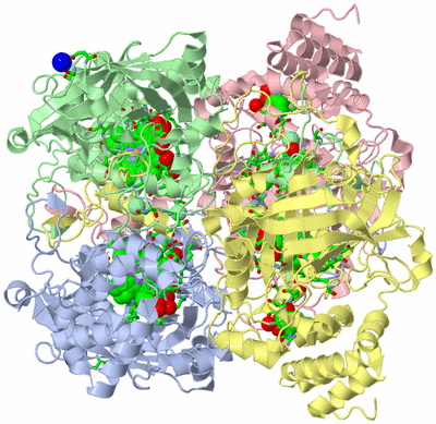 Image Asym./Biol. Unit - sites