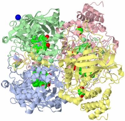 Image Asym./Biol. Unit