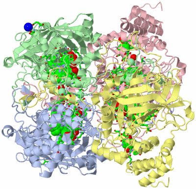 Image Asym./Biol. Unit - sites