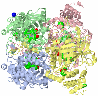 Image Asym./Biol. Unit