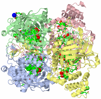 Image Asym./Biol. Unit - sites