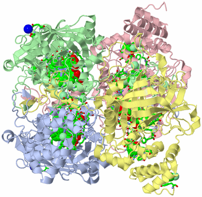 Image Asym./Biol. Unit - sites