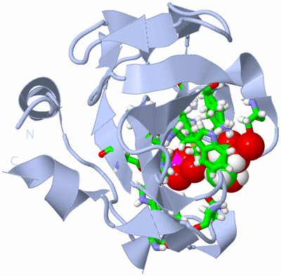 Image Biol. Unit 1 - sites