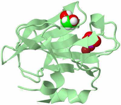 Image Biological Unit 2