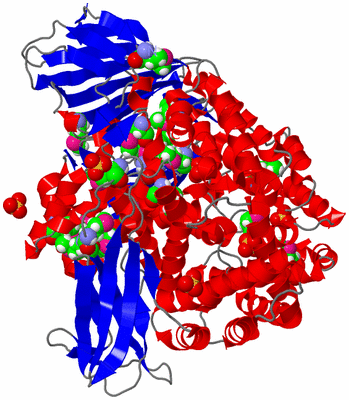 Image Asym./Biol. Unit