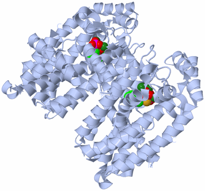 Image Biological Unit 1