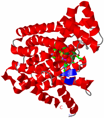 Image Asym. Unit - sites