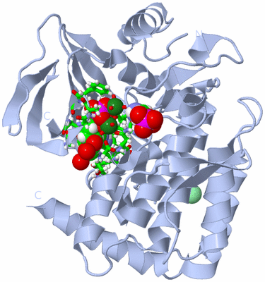 Image Biol. Unit 1 - sites