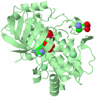 Image Biological Unit 2