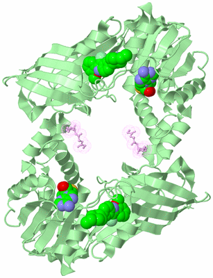 Image Biological Unit 2