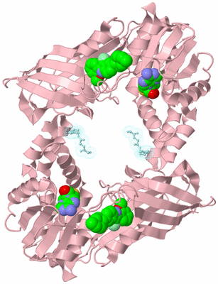 Image Biological Unit 3