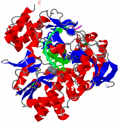 Image Asym./Biol. Unit