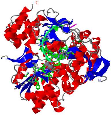 Image Asym./Biol. Unit - sites