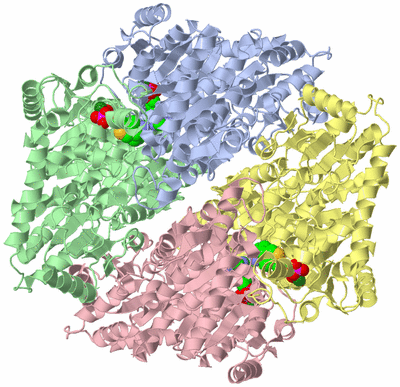 Image Biological Unit 1