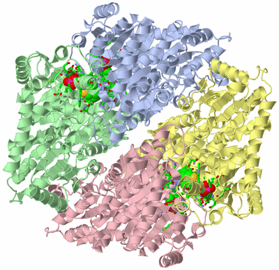 Image Biol. Unit 1 - sites