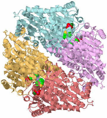 Image Biological Unit 2