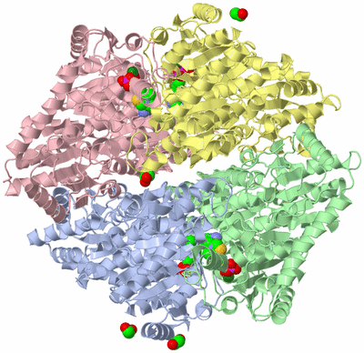 Image Asym./Biol. Unit