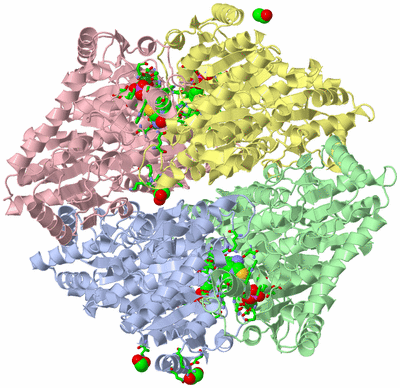 Image Asym./Biol. Unit - sites