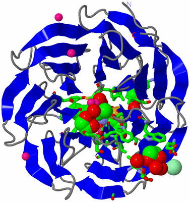 Image Asym./Biol. Unit - sites